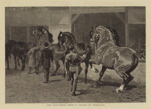 Cart-Horse Show, oriiden paraati